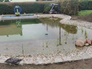 Schwimmteich / Naturpool von der Poolbaufirma aus Brandenburg