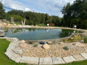 Schwimmteich / Naturpool von der Poolbaufirma aus Brandenburg